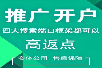 SEM竞价员实战案例分析：数据驱动决策